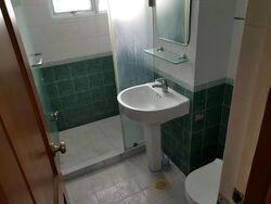 Braddell View (D20), Apartment #576718461